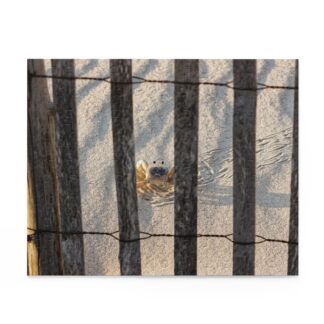 Crabby Behind Bars - Puzzle