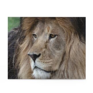 Leo the Lion - Puzzle